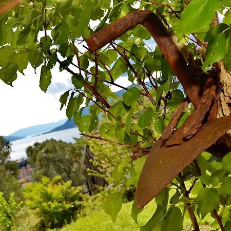 Boka View By Rosi Villa Tivat Exterior photo